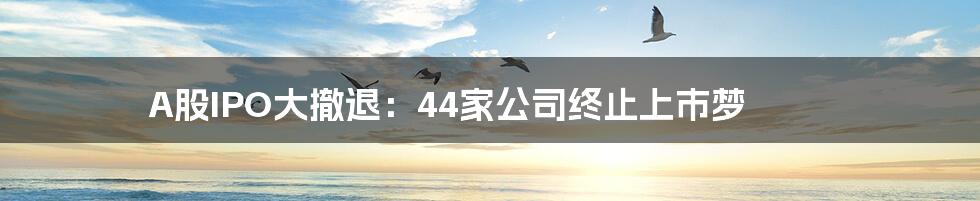 A股IPO大撤退：44家公司终止上市梦