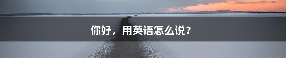 你好,用英语怎么说?