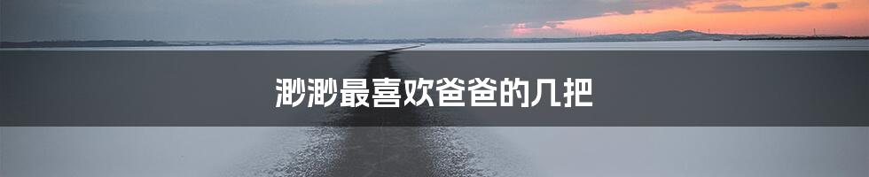 渺渺最喜欢爸爸的几把