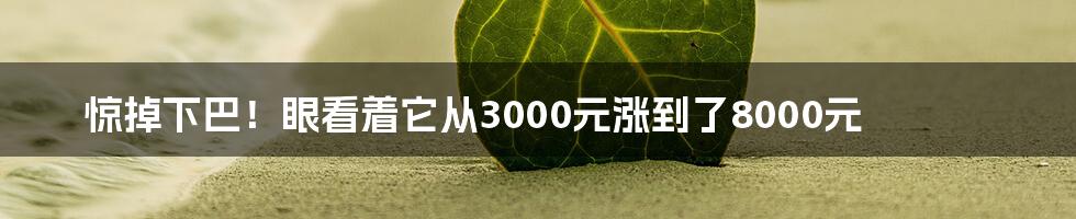 惊掉下巴!眼看着它从3000元涨到了8000元