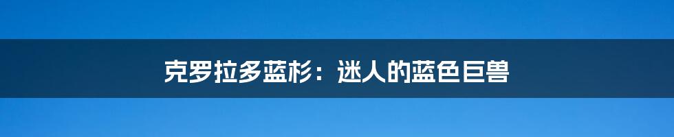 克罗拉多蓝杉:迷人的蓝色巨兽