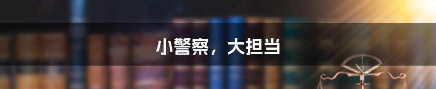 小警察,大担当