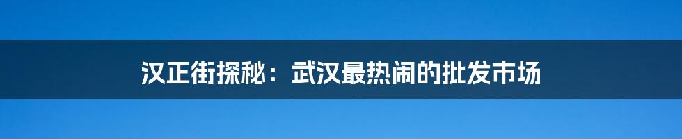 汉正街探秘:武汉最热闹的批发市场