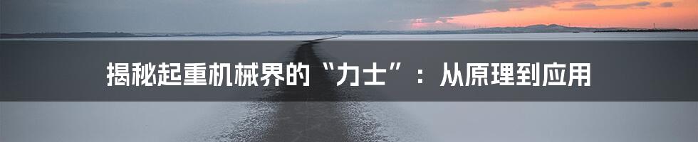 揭秘起重机械界的“力士”：从原理到应用
