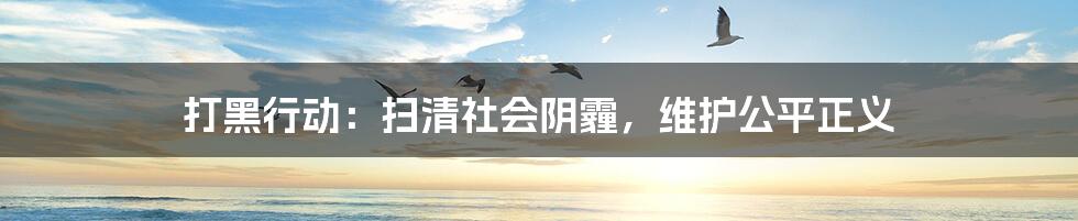 打黑行动:扫清社会阴霾,维护公平正义