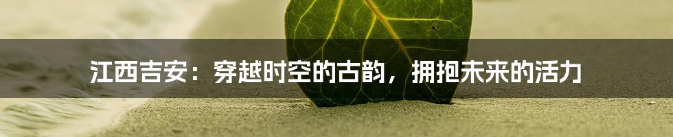 江西吉安:穿越时空的古韵,拥抱未来的活力