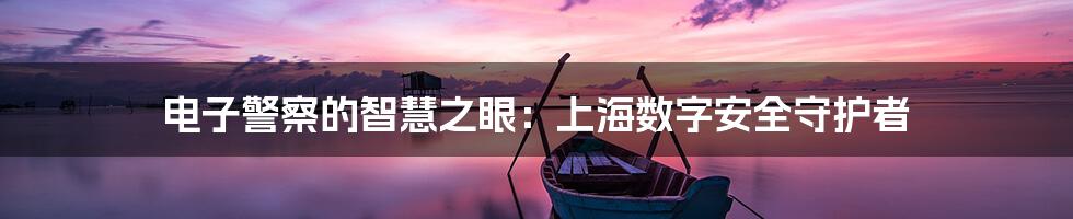 电子警察的智慧之眼：上海数字安全守护者