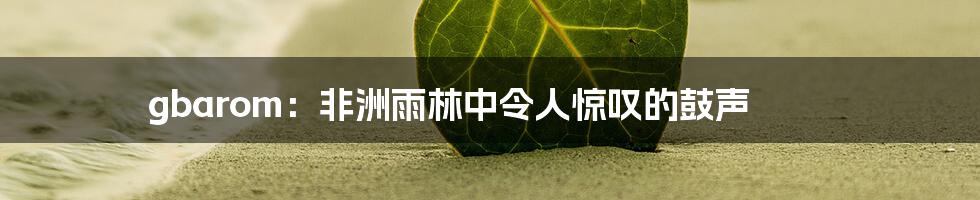 gbarom：非洲雨林中令人惊叹的鼓声