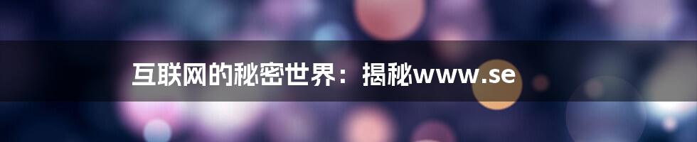 互联网的秘密世界:揭秘www.se
