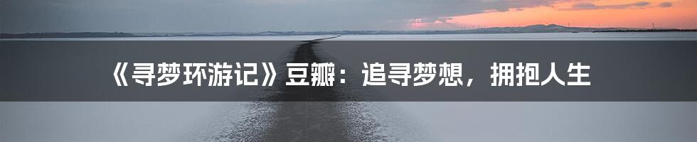《寻梦环游记》豆瓣:追寻梦想,拥抱人生