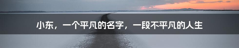 小东,一个平凡的名字,一段不平凡的人生