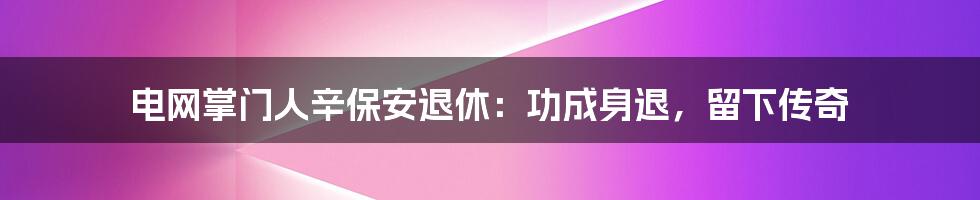电网掌门人辛保安退休：功成身退，留下传奇