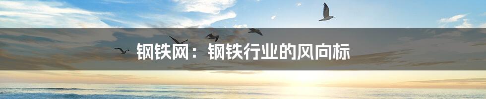 钢铁网:钢铁行业的风向标