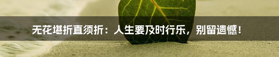 无花堪折直须折:人生要及时行乐,别留遗憾!