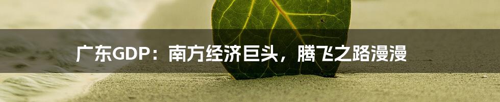 广东GDP:南方经济巨头,腾飞之路漫漫