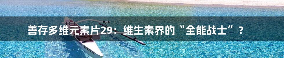 善存多维元素片29:维生素界的“全能战士”?