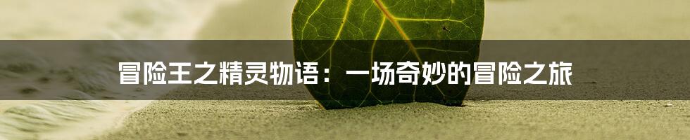 冒险王之精灵物语:一场奇妙的冒险之旅