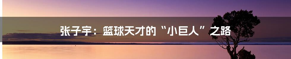张子宇:篮球天才的“小巨人”之路
