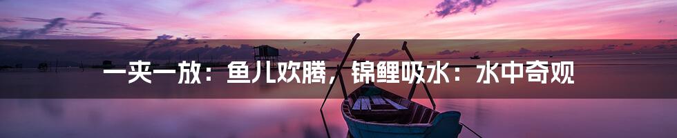 一夹一放:鱼儿欢腾,锦鲤吸水:水中奇观