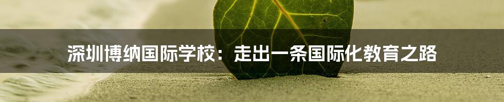 深圳博纳国际学校:走出一条国际化教育之路