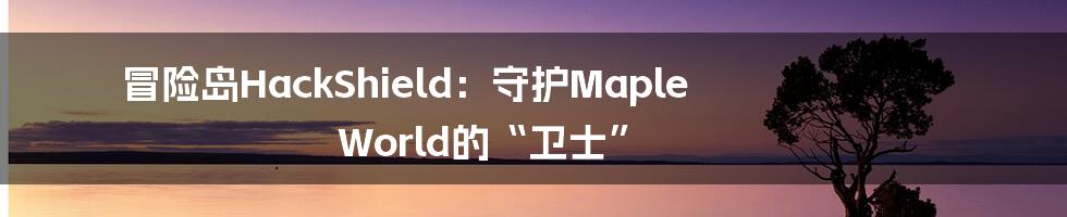 冒险岛HackShield：守护Maple World的“卫士”