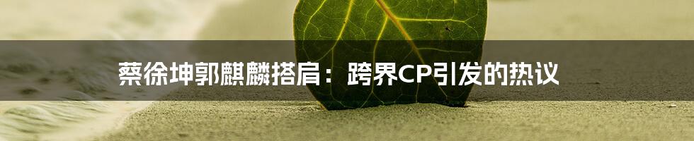 蔡徐坤郭麒麟搭肩：跨界CP引发的热议