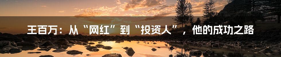 王百万:从“网红”到“投资人”,他的成功之路