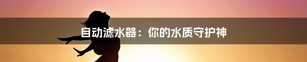 自动滤水器:你的水质守护神