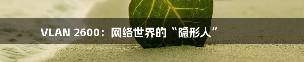 VLAN 2600：网络世界的“隐形人”