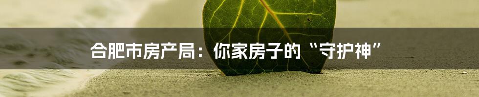 合肥市房产局：你家房子的“守护神”