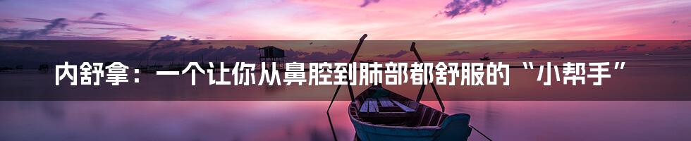 内舒拿:一个让你从鼻腔到肺部都舒服的“小帮手”