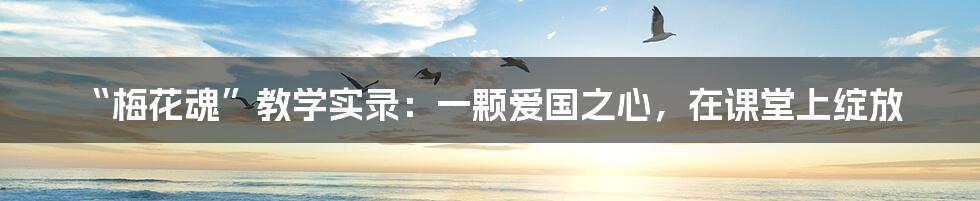 “梅花魂”教学实录：一颗爱国之心，在课堂上绽放