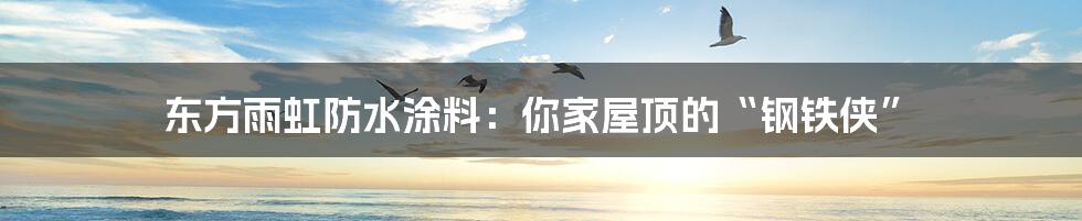 东方雨虹防水涂料:你家屋顶的“钢铁侠”