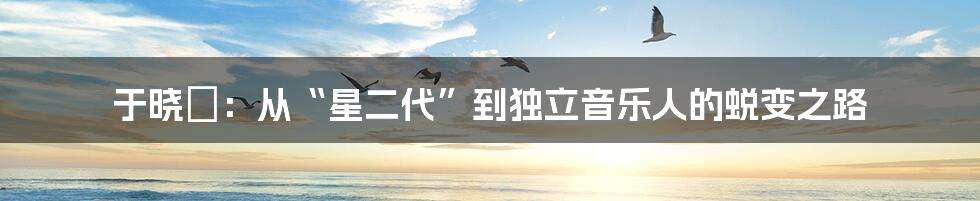于晓晞:从“星二代”到独立音乐人的蜕变之路