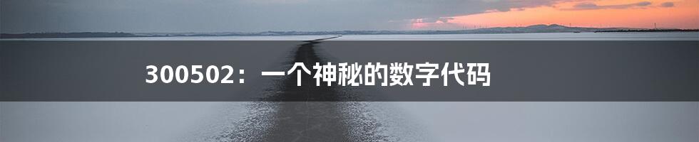 300502:一个神秘的数字代码