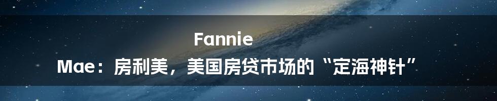 Fannie Mae:房利美,美国房贷市场的“定海神针”