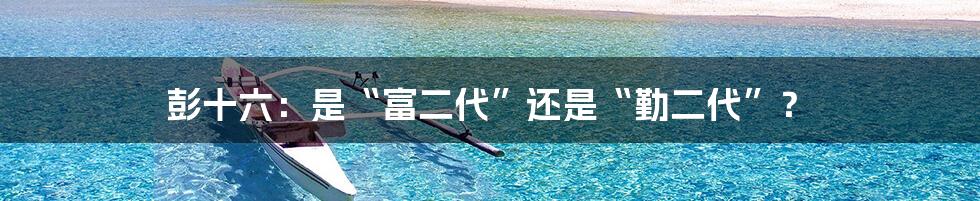 彭十六:是“富二代”还是“勤二代”?