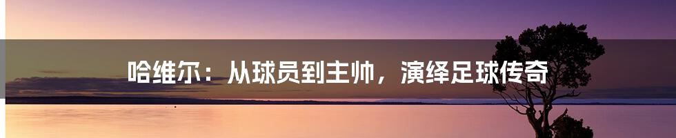 哈维尔:从球员到主帅,演绎足球传奇