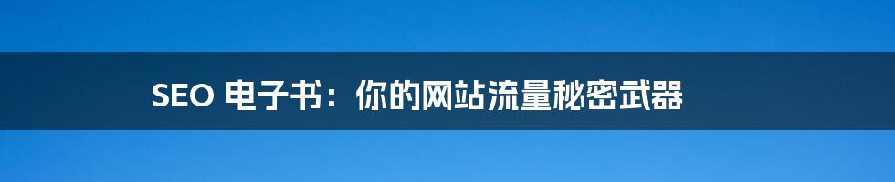 SEO 电子书：你的网站流量秘密武器