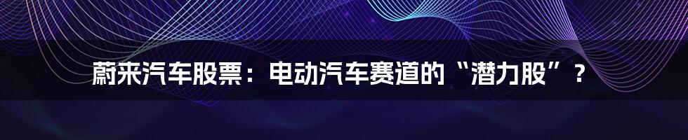 蔚来汽车股票:电动汽车赛道的“潜力股”?