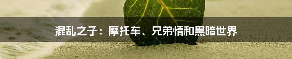 混乱之子：摩托车、兄弟情和黑暗世界