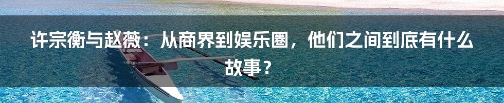 许宗衡与赵薇:从商界到娱乐圈,他们之间到底有什么故事?