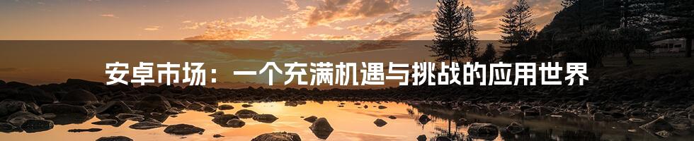 安卓市场:一个充满机遇与挑战的应用世界