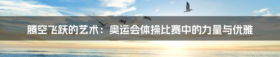 腾空飞跃的艺术:奥运会体操比赛中的力量与优雅