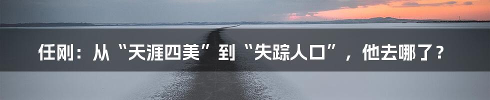 任刚:从“天涯四美”到“失踪人口”,他去哪了?
