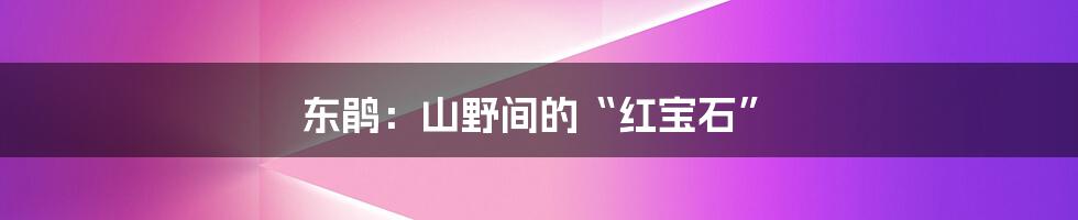 东鹃:山野间的“红宝石”