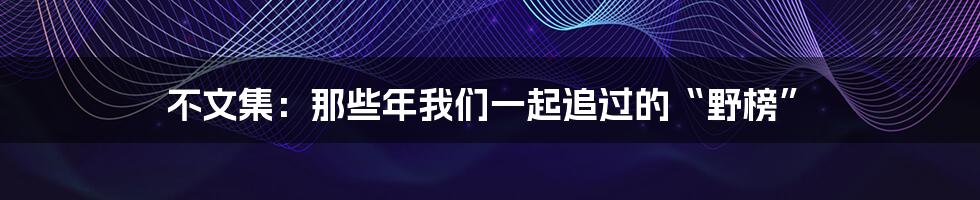 不文集:那些年我们一起追过的“野榜”