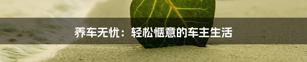 养车无忧:轻松惬意的车主生活