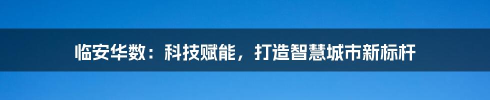 临安华数:科技赋能,打造智慧城市新标杆