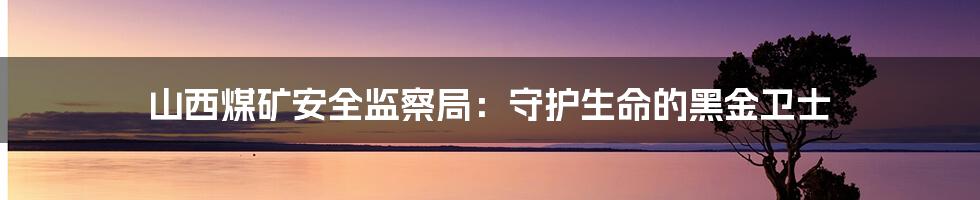 山西煤矿安全监察局：守护生命的黑金卫士